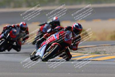 media/Oct-08-2022-SoCal Trackdays (Sat) [[1fc3beec89]]/Turn 14 (1050am)/